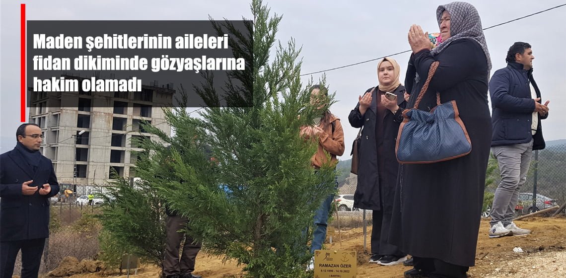 Maden şehitlerinin aileleri fidan dikiminde gözyaşlarına hakim olamadı