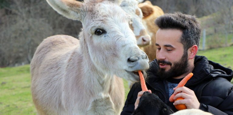 Çelik, videoları izleyenlerin köye gelip eşek ile fotoğraf çektirmek istediğini kaydetti.