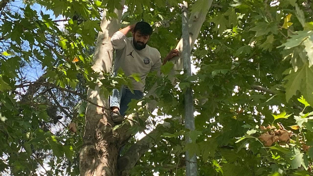 Karabük'te ağaca çıkarak intihar girişiminde bulunan şahıs, kendisini ikna etmeye çalışan polislere kelepçe ile hastaneye gitmek istediğini söyledi.