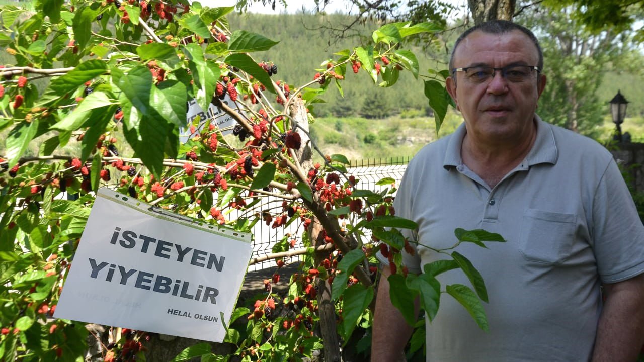 Karabük’te bir vatandaşın, yoldan geçenlerin gönül rahatlığıyla yemesi için bir evin bahçesindeki dut ağacına asılan “İsteyen Yiyebilir, Helal Olsun” yazılı kâğıt yürekleri ısıttı.