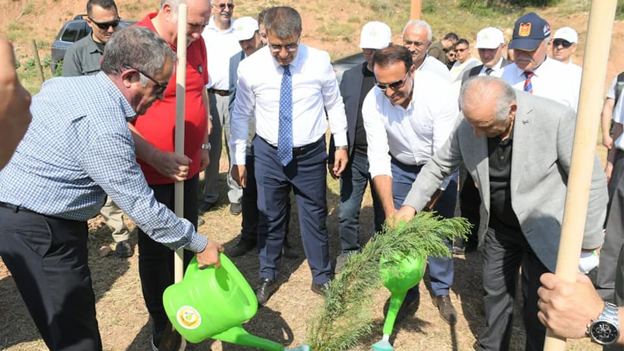 Sarıkamış Harekatı'nda donarak şehit düşen binlerce Mehmetçiğin anısını yaşatmak için, Sarıkamış Platformunun talebiyle Hatıra Ormanı oluşturuldu.