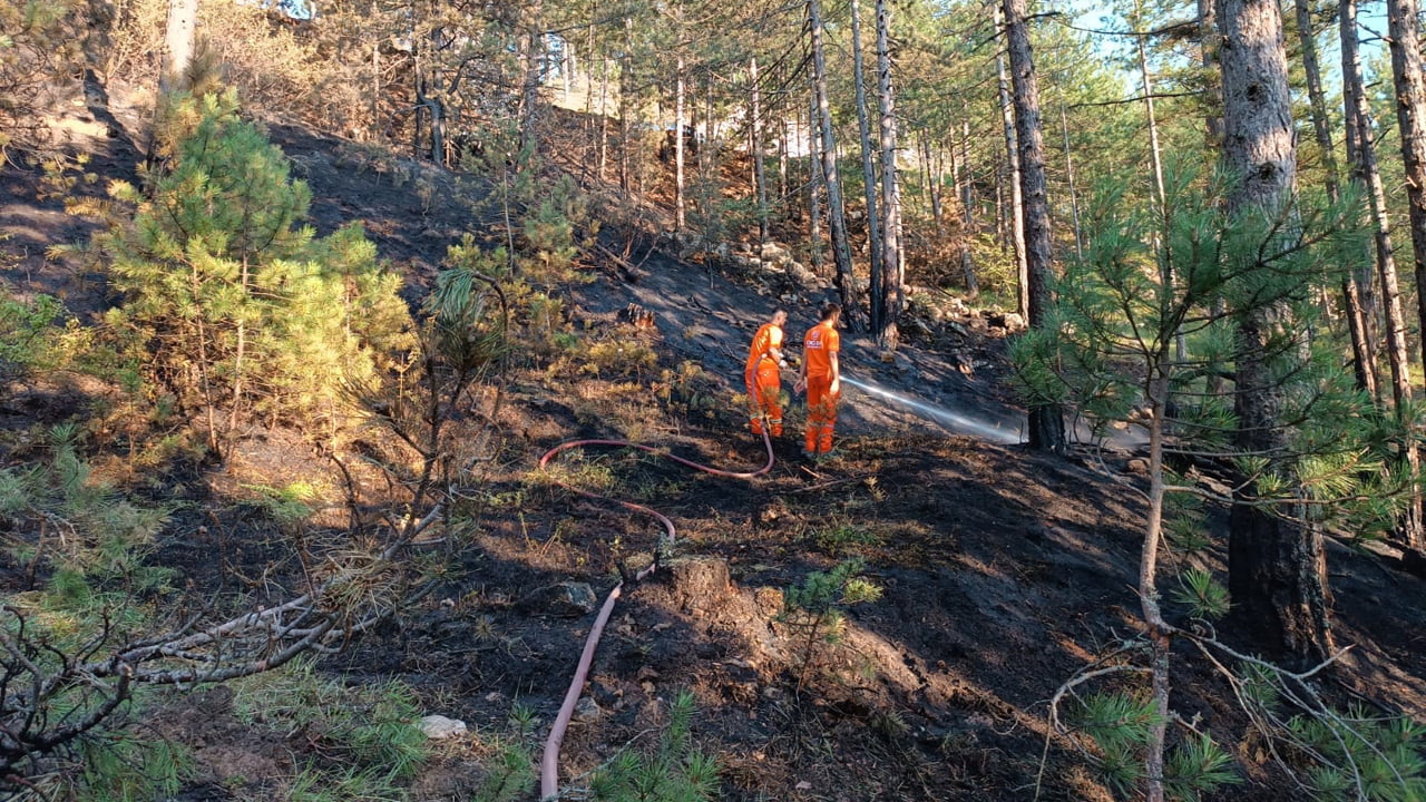 YANGINDA 2,5 DÖNÜM ALAN ZARAR GÖRDÜ