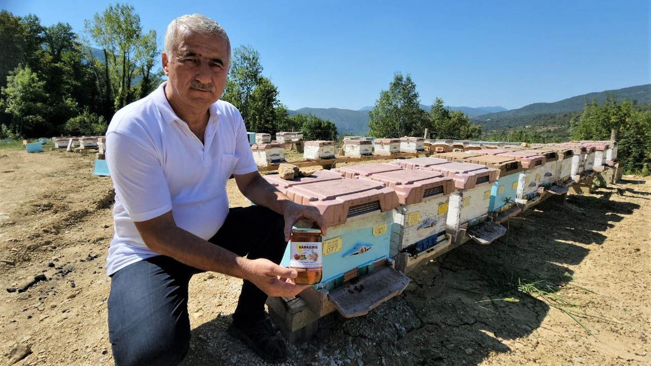 Türkiye’nin en büyük blok ormanlarına sahip Karabük’ün Yenice ilçesinde ıhlamur ormanlarında üretilen ve doğal aroma tadı ile ile ün yapan ‘Yenice Ihlamur Balı’ coğrafi işaretle tescillendi.