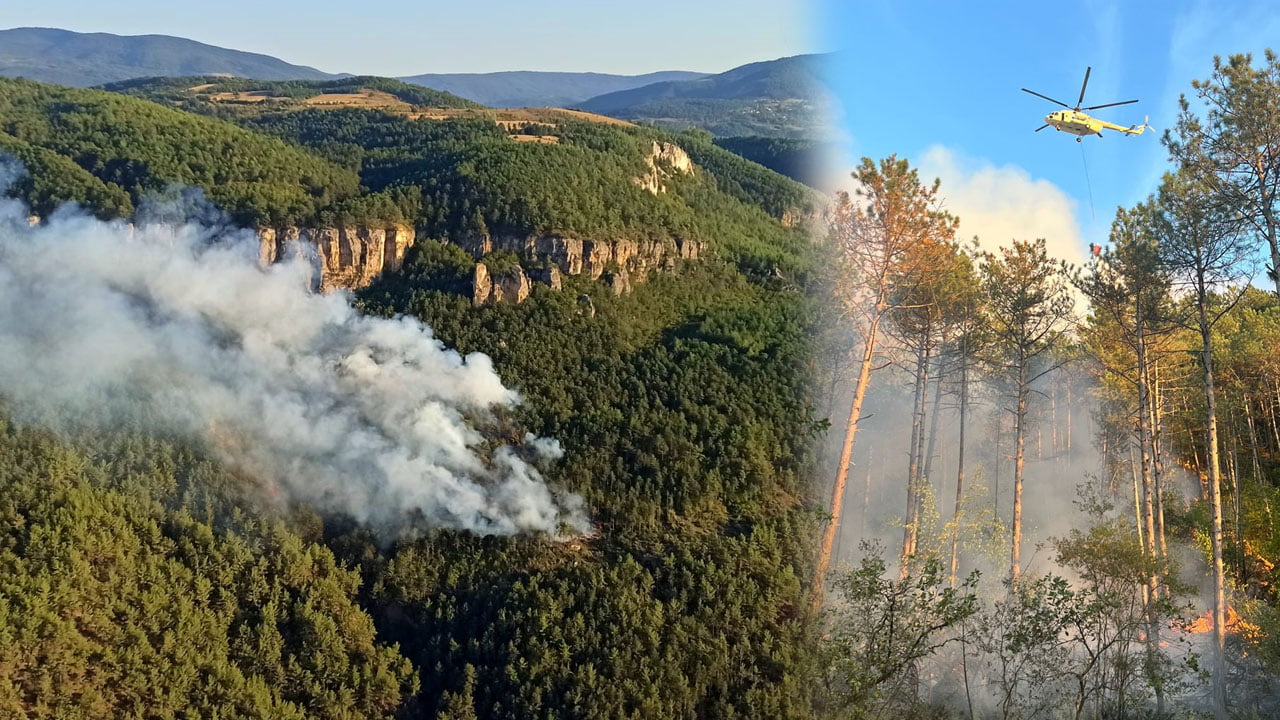 Karabük’te ormanlık alanda yangın çıktı. Sarp bölgede başlayan yangına havadan 2 helikopterle müdahale ediliyor.