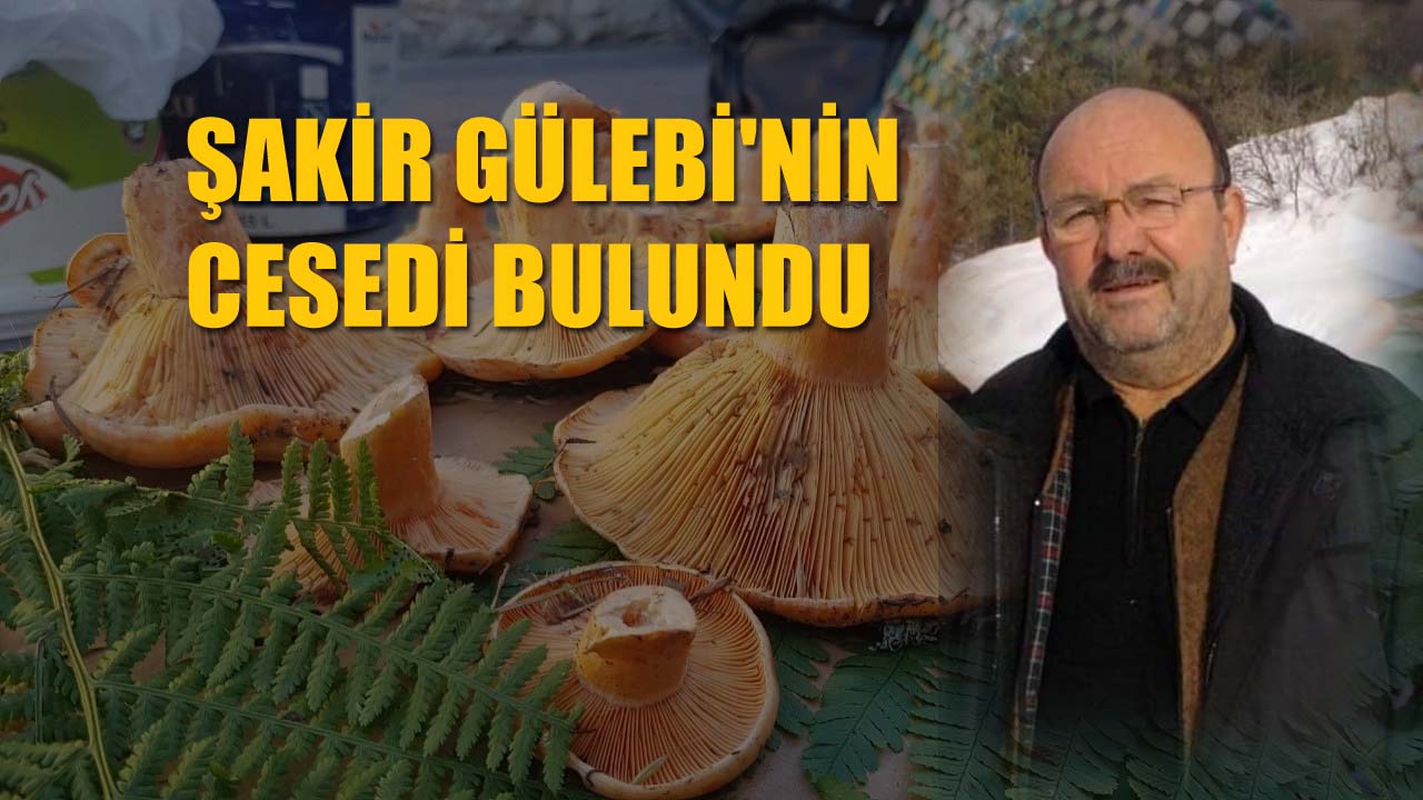 Karabük'ün Eflani ilçesinde mantar toplamaya giden Şakir Gülebi'nin (68) cesedi bulundu.