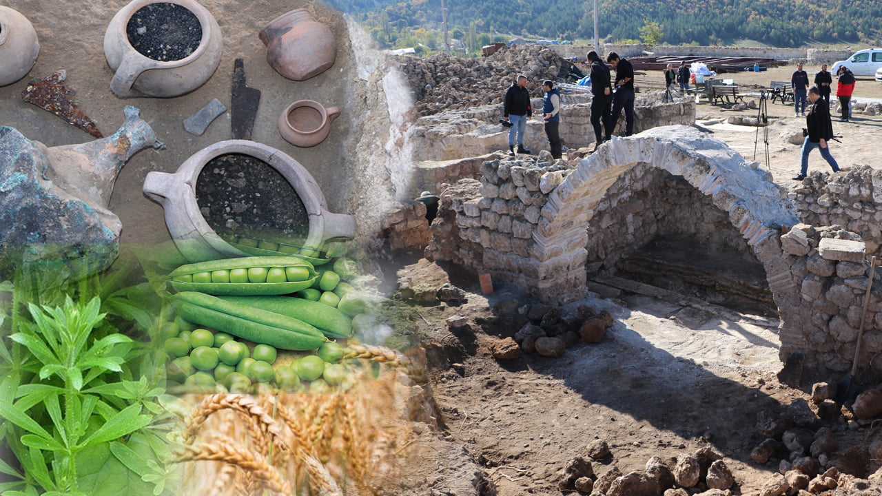 "Karadeniz'in Zeugması" olarak adlandırılan Hadrianopolis Antik Kenti'nde bin 600 yıllık olduğu tahmin edilen kap içerisinde tohum bulundu