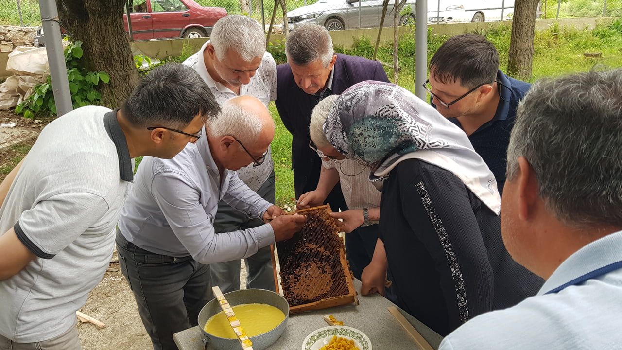 Karabük'te arıcılık yapan 26 üreticiye “Ana Arı Yetiştiriciliği" kursu verildi.