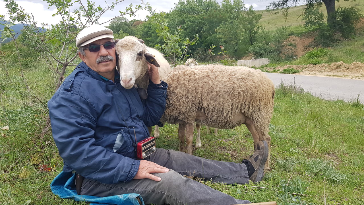 Karabük'ün Safranbolu ilçesinde yaşayan 70 yaşındaki Ali Şükrü Kavsaoğlu, ölümden döndüğü Covid-19 sonrası aldığı küçükbaş hayvanlarıyla kurduğu bağ sayesinde yeniden hayata bağlandı.