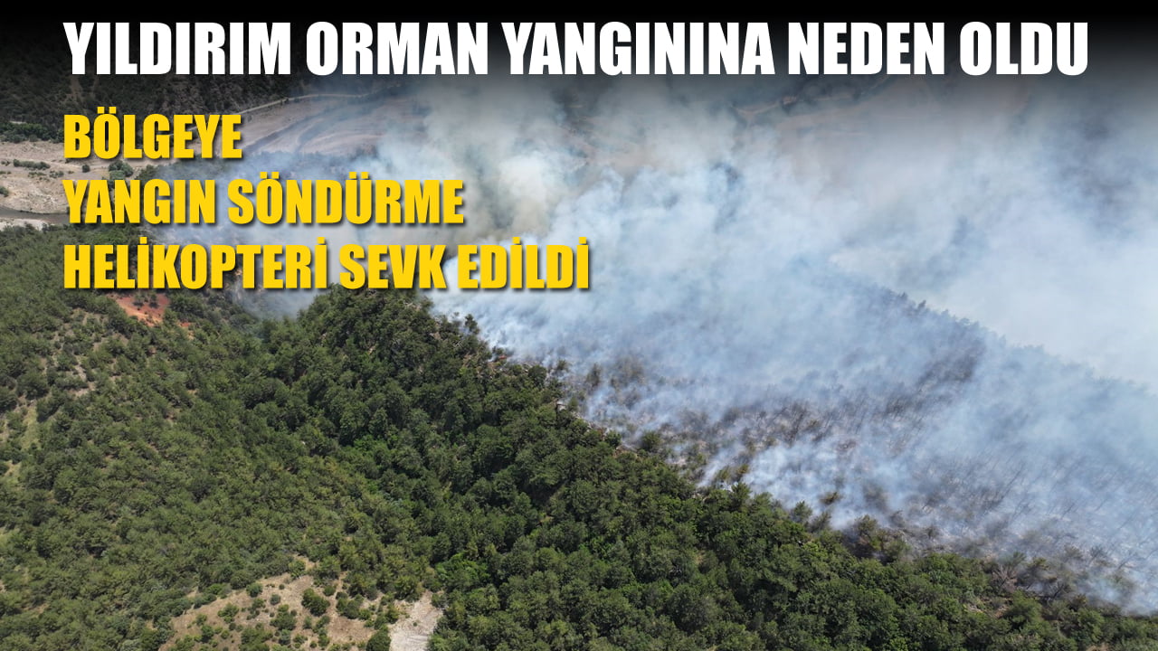 Karabük’ün Ovacık ilçesinde yıldırım düşmesi nedeniyle çıkan orman yangınını söndürme çalışmaları sürüyor.