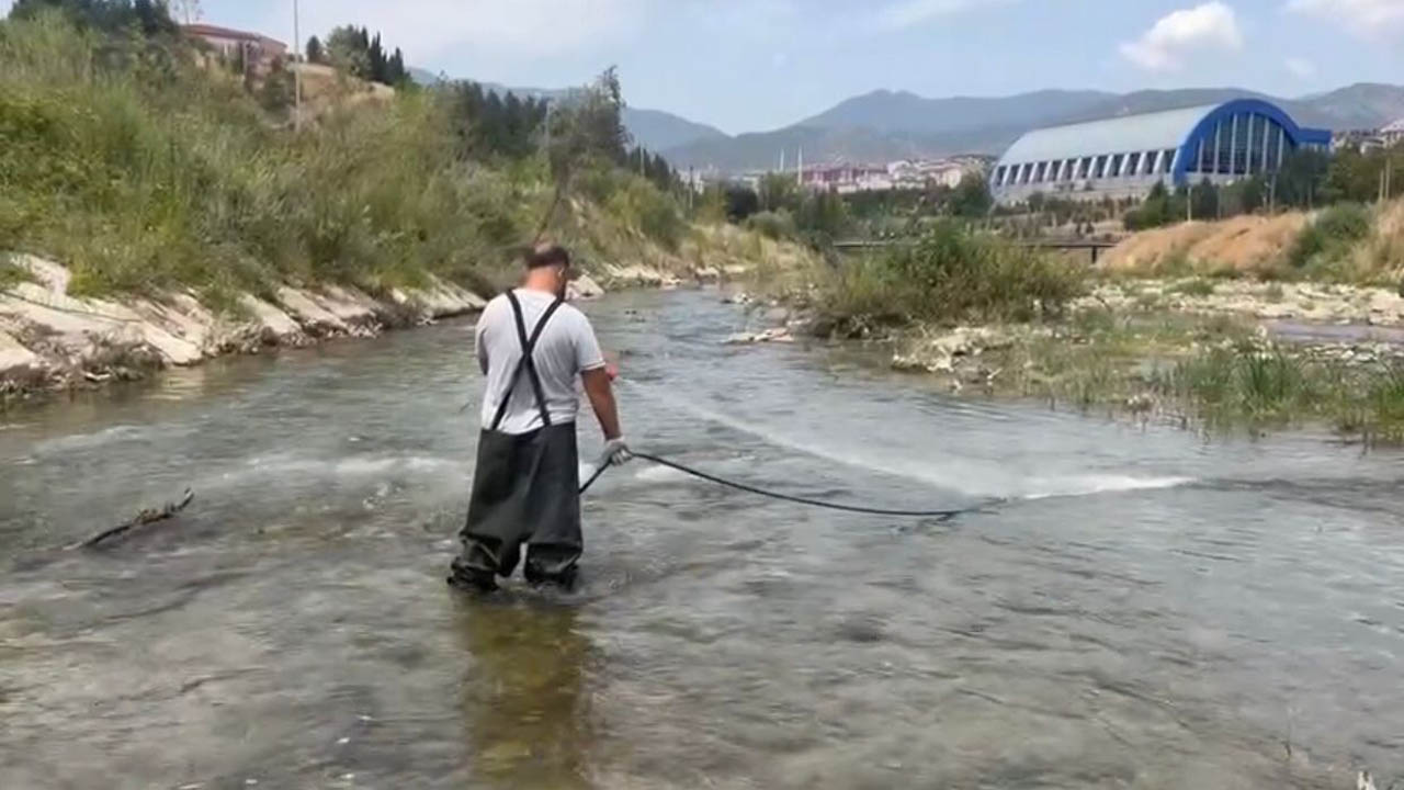 Karabük Belediyesi Veteriner İşleri Müdürlüğü ekipleri tarafından yapılan saha çalışmaları ve bilimsel çalışmalar sonucunda, yaz aylarında Karabük merkezden geçen dere yatağına ayın belirli günlerinde girilerek Similium türü sinek ve larva kontrolü yapılıp, larvalar 3. ve 4. evredeyse tamamen biyolojik bakteri kökenli ilaç ile ilaçlama çalışması yapılıyor.