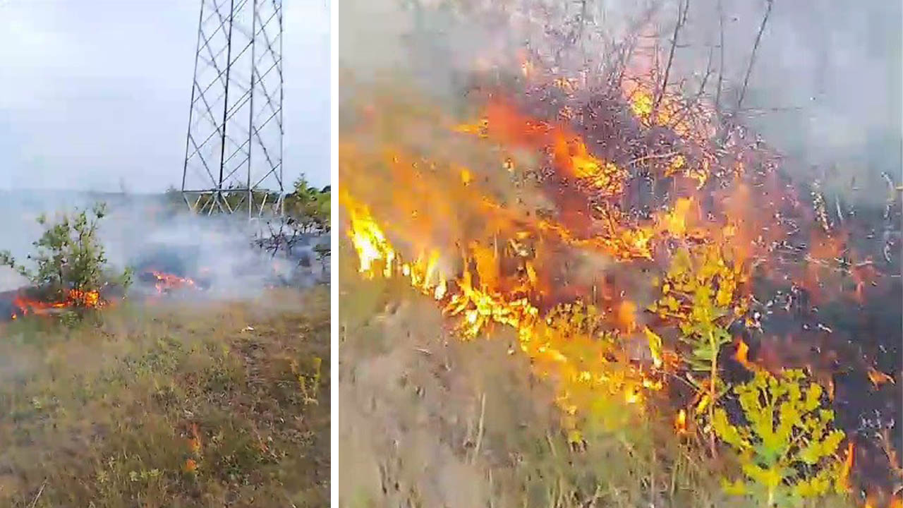 Karabük'ün Eflani ilçesinde otluk alanda çıkan yangın, vatandaşların ve itfaiyenin müdahalesiyle büyümeden söndürüldü.