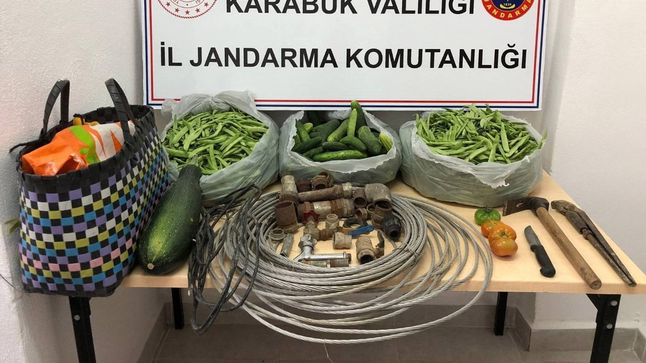 Karabük’ün Safranbolu ilçesinde bir evin bahçesine hırsızlık amaçlı giren 2 kişi, az miktarda para edecek hurda malzemelerle yetinmeyince, bahçede etkili olan salatalık, fasulye, domates ve kabakları toplayarak kaçarken jandarma tarafından kıskıvrak yakalandı.