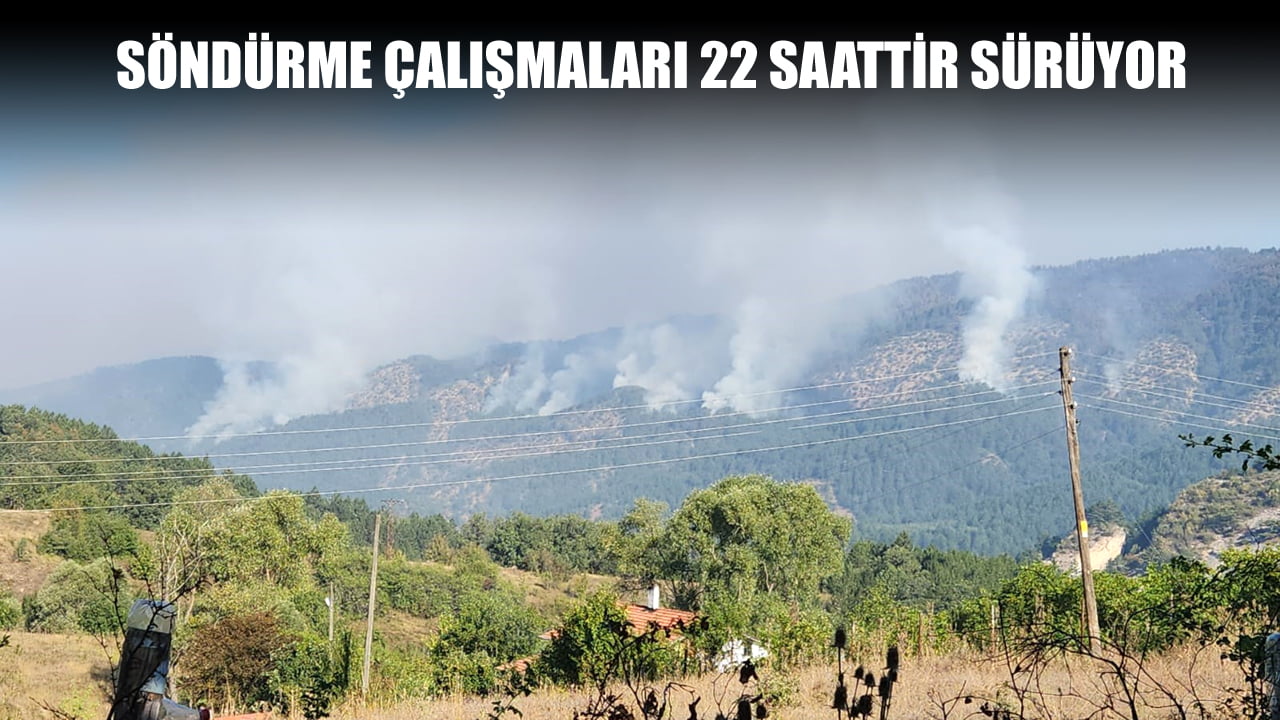 Karabük'ün Ovacık ilçesinde ormanlık alanda çıkan yangını söndürme çalışmaları yaklaşık 22 saattir sürüyor. Söndürme çalışmalarına Jandarma Genel Komutanlığına ait 2 helikopter destek veriyor.