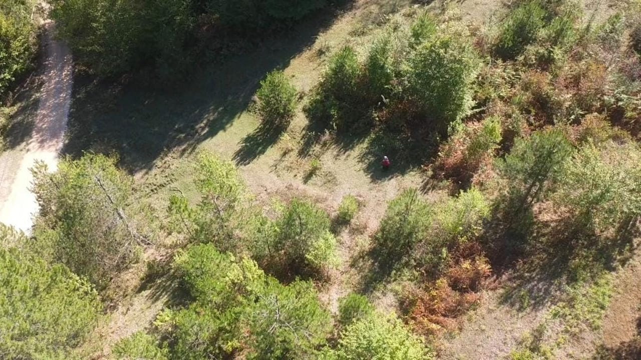 Karabük'ün Safranbolu ilçesinde yasak olmasına rağmen mantar toplamak için ormana giren vatandaşlar dron ile tespit edildi.