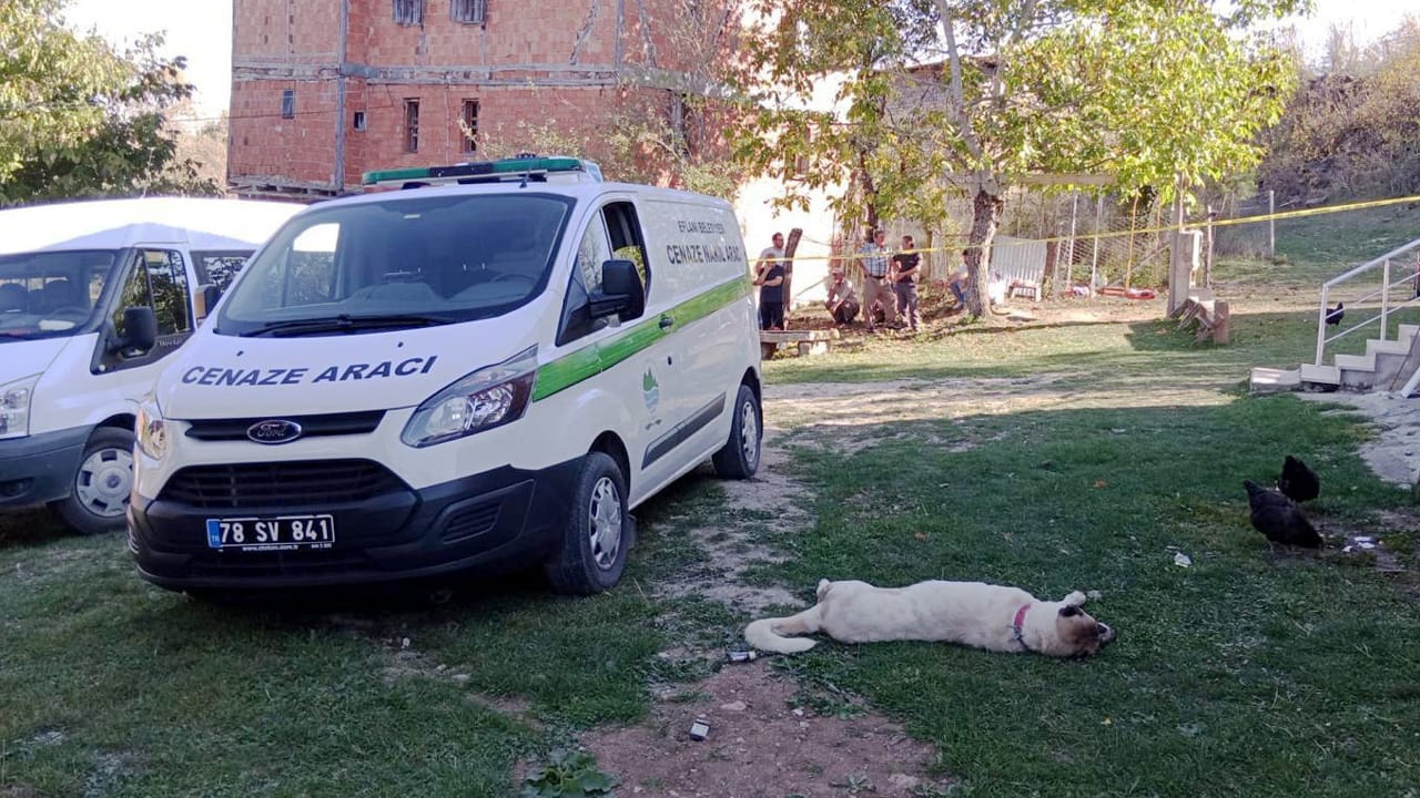 Karabük'ün Eflani ilçesinde 80 yaşındaki şahıs, ağabeyinin eşini silahla vurarak öldürdükten sonra intihar etti.