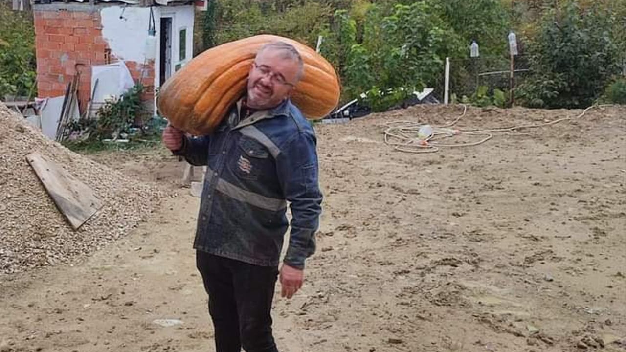 Karabük’te bir bahçede yetişen 40 kilogramlık kabak boyu ve kilosu ile üreticisini şaşırttı.