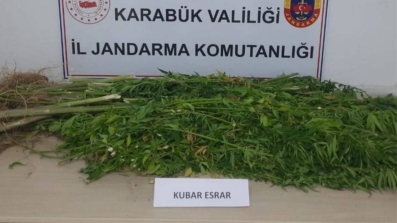 Karabük’ün Eskipazar ilçesinde jandarma ekiplerince bir ikamete düzenlenen operasyonda 11 kilo 800 gram kubar esrar ele geçirildi.