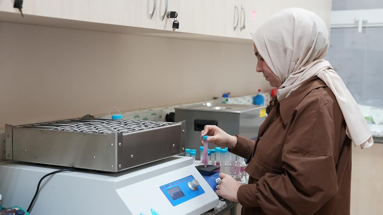 SİYEZ BUĞDAYININ ETKİLERİ ARAŞTIRILIYOR