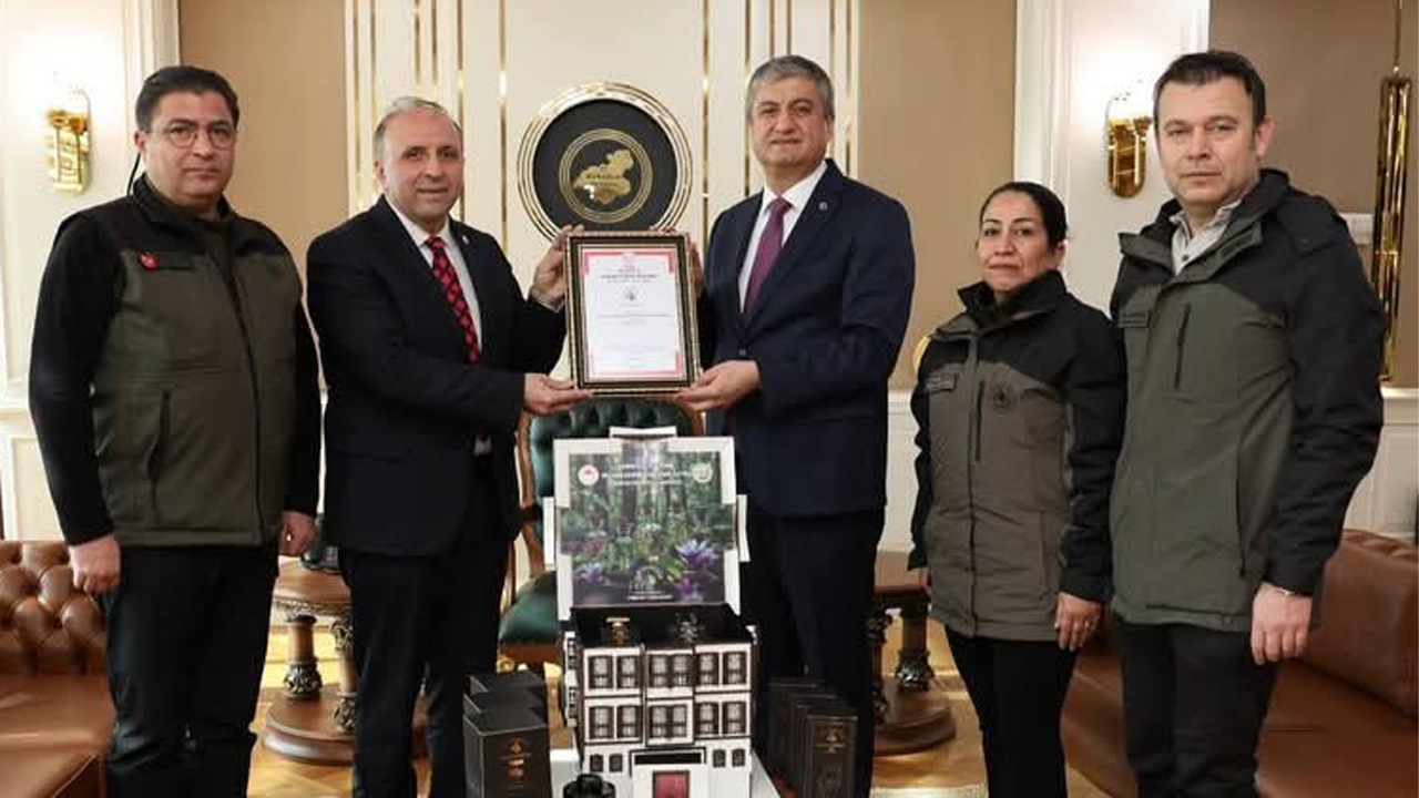 Türkiye'nin en büyük tıbbi ve aromatik bitki yetiştirme alanı olan Safranbolu Tıbbi ve Aromatik Bitki Bahçesinde üretilen ürünler satışa hazır hale getirildi.