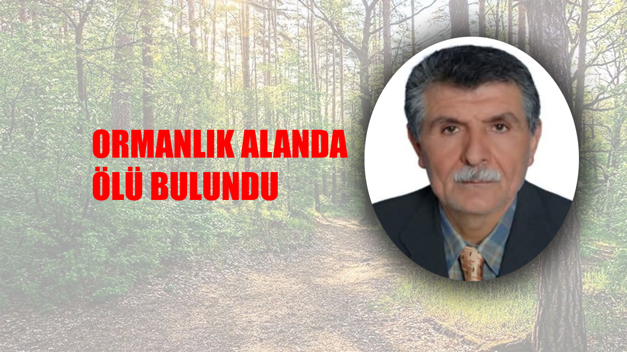 Karabük'ün Yenice ilçesinde kayıp hayvanını aramak için evden ayrılan yaşlı adam ormanlık alanda ölü bulundu.