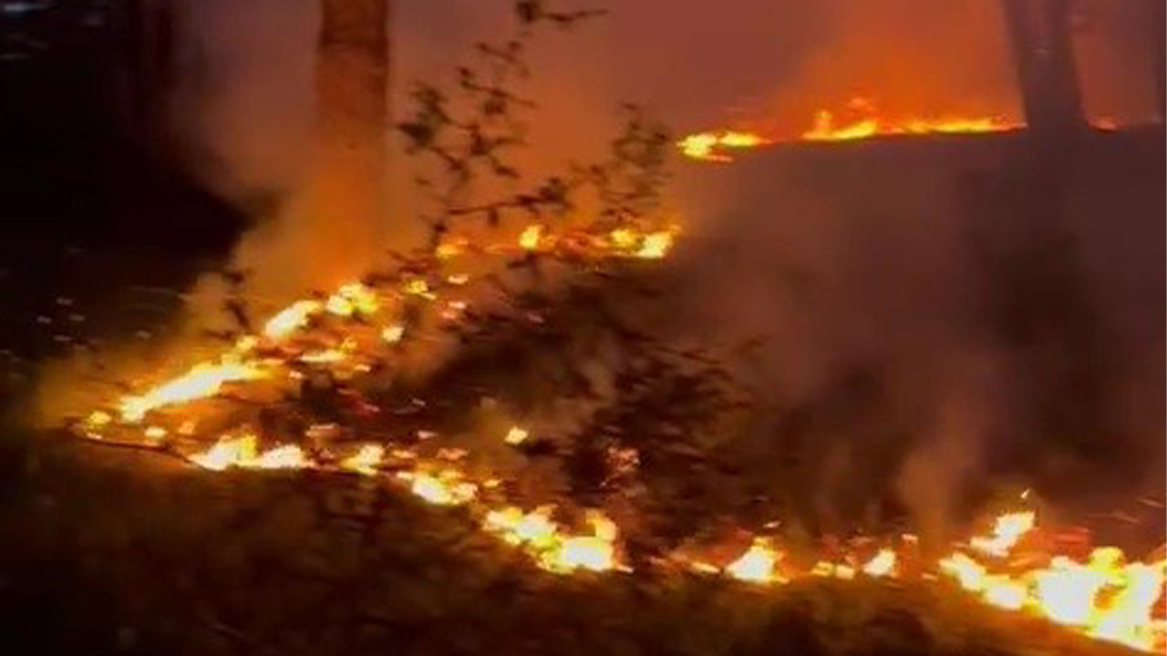 ORMANLIK ALANA DÜŞEN YILDIRIM YANGINA NEDEN OLDU