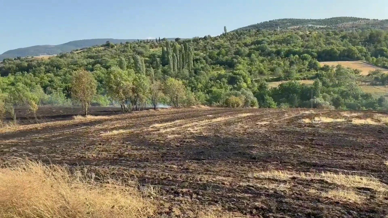 KARABÜK’TE ÇIKAN ANIZ YANGININDA 25 DÖNÜM ALAN ZARAR GÖRDÜ