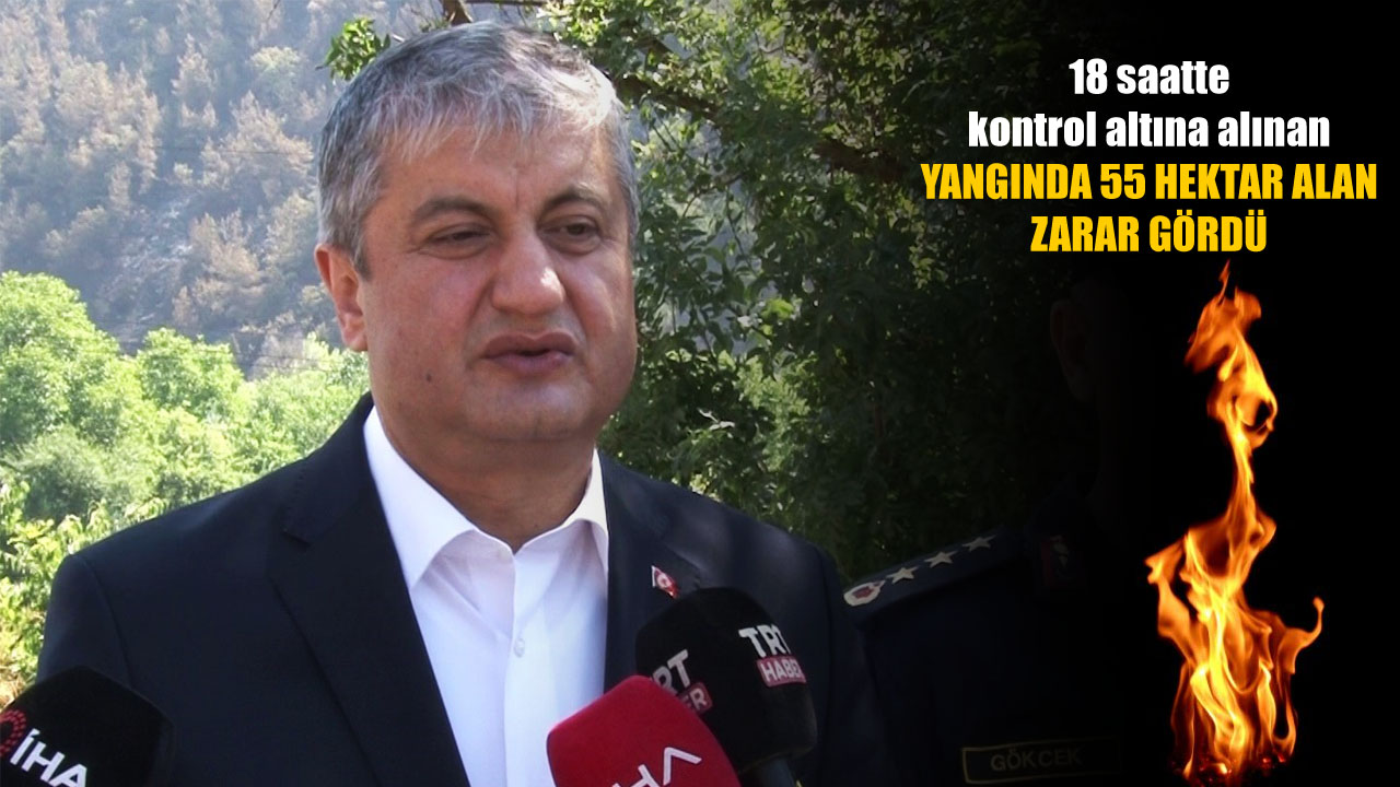 Karabük Valisi Mustafa Yavuz, Cildikısık mevkiinde 55 hektar alanda etkili olan orman yangının kontrol altına alındığını duyurdu.