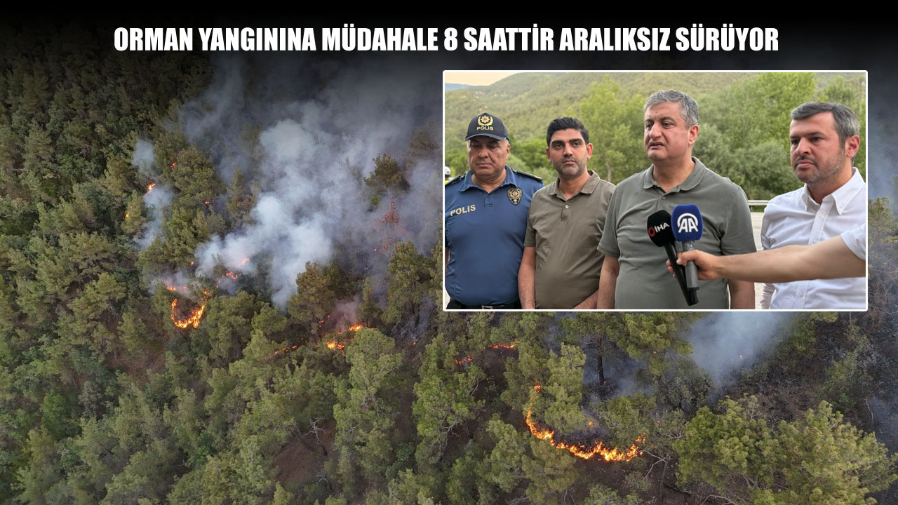 Karabük'te ormanlık alanda çıkan yangına ekiplerin müdahalesi 8 saattir aralıksız devam ediyor.