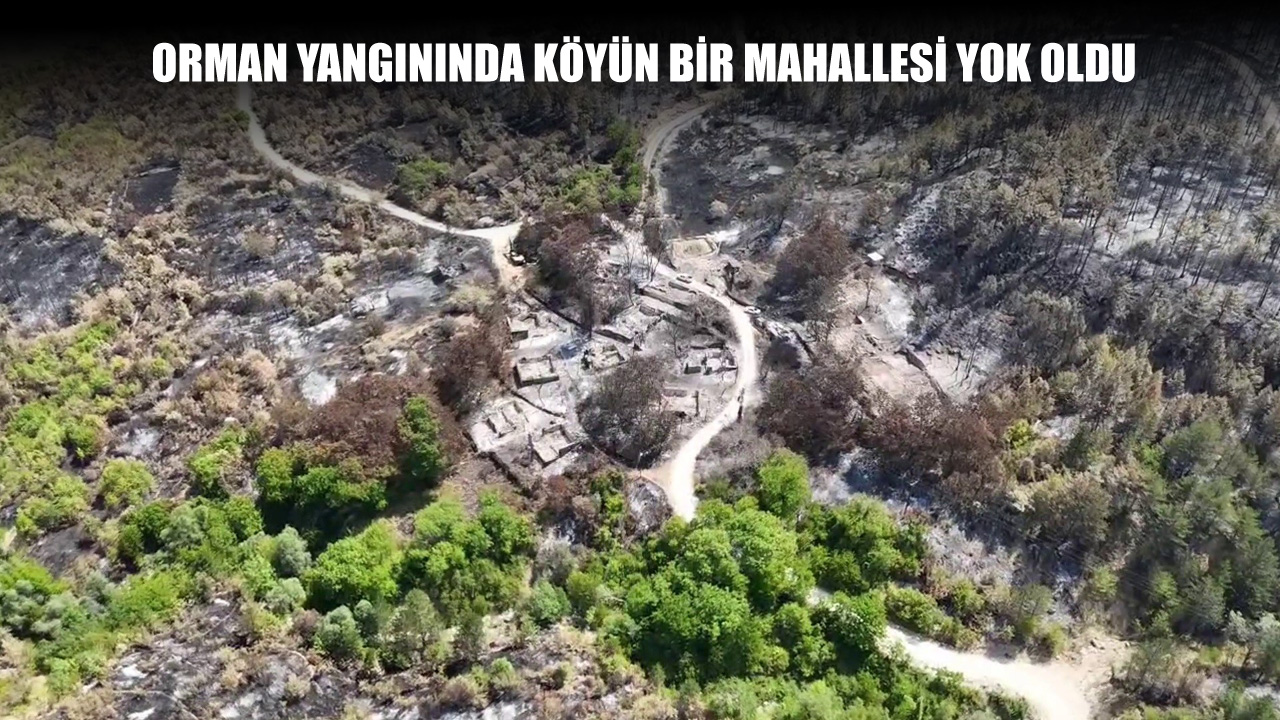 Karabük'te orman yangınlarından en çok etkilenen yerleşim yerlerinden biri olan Kamış köyündeki bir mahalle 24 evin yanmasıyla yok oldu.