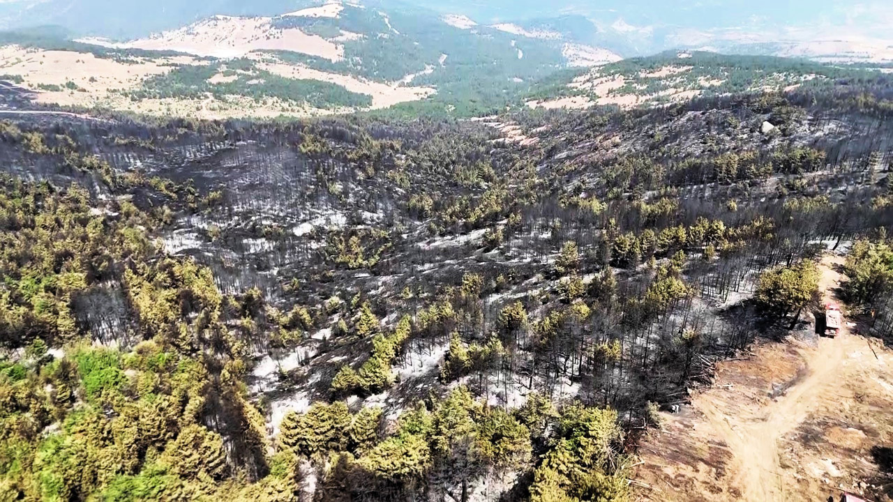 Karabük’te 12 saatte kontrol altına alınan orman yangınının ardından, yeşil alanların yerini siyaha bürünmüş acı bir manzara aldı.