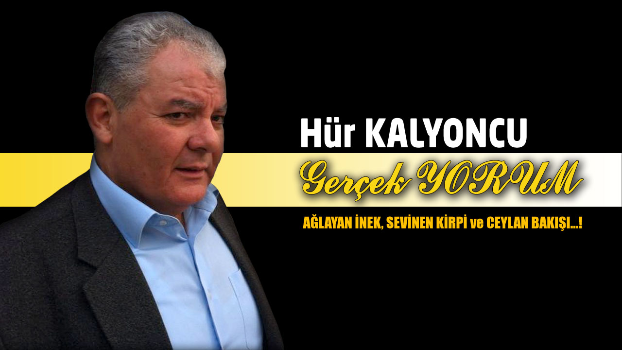 GERÇEK YORUM; AĞLAYAN İNEK, SEVİNEN KİRPİ ve CEYLAN BAKIŞI…!