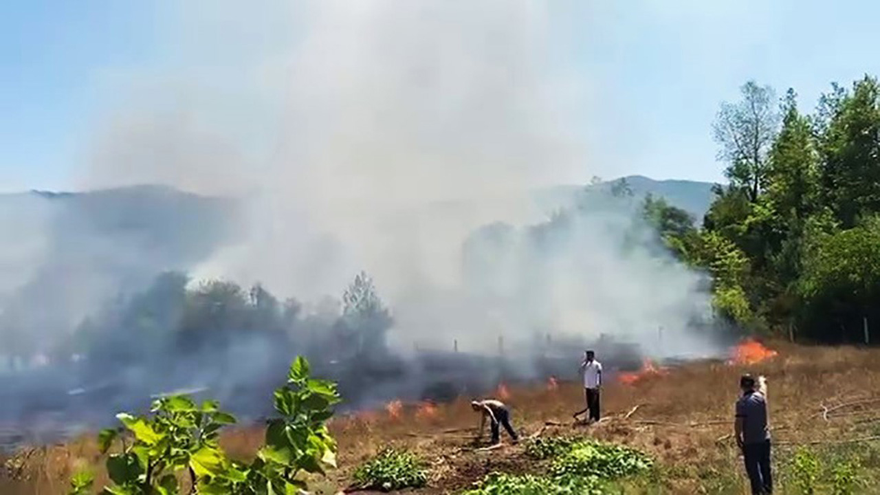 Karabük'ün Yenice ilçesine bağlı Yortan beldesinde bahçede çıkan ot yangını, yerleşim yerleri ve ormana sıçramadan söndürüldü.