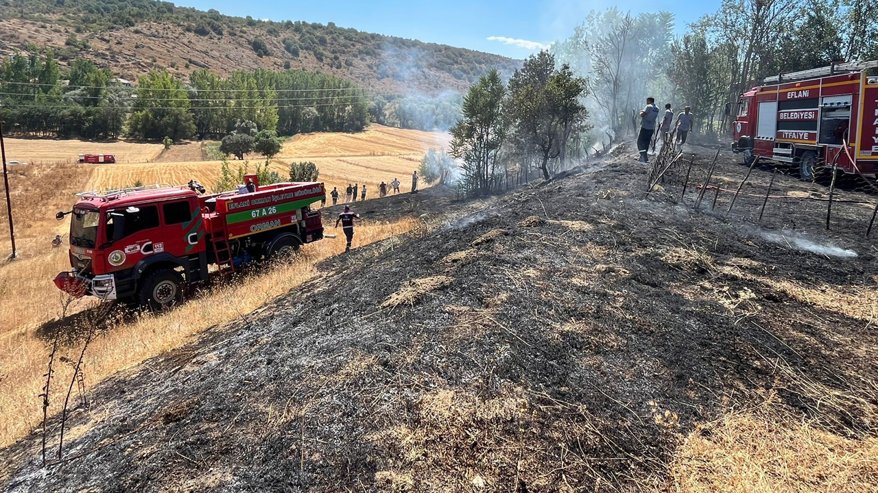 Karabük'ün Eflani ilçesinde çıkan bahçe yangını ekiplerin hızlı müdahalesiyle evlere sıçramadan söndürüldü.