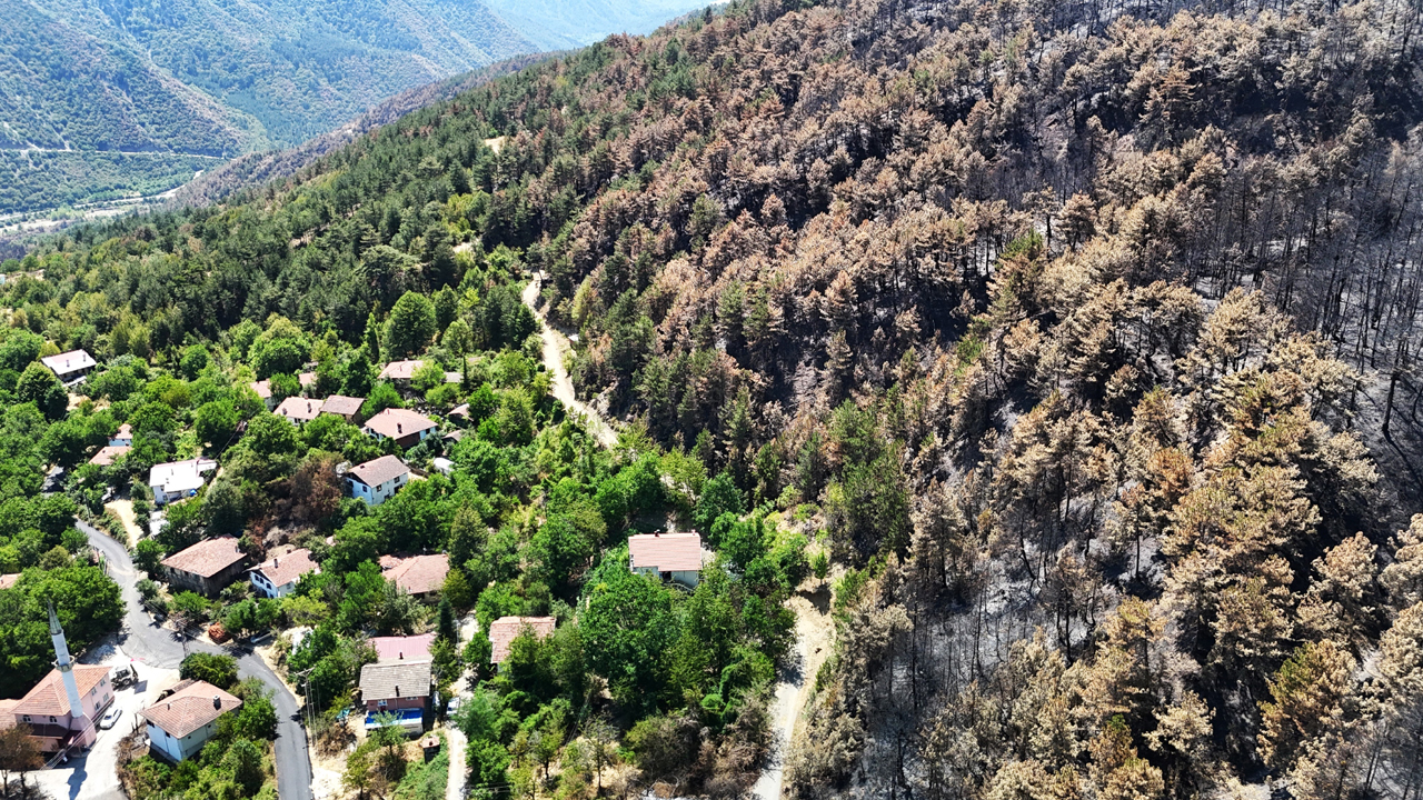 Karabük'te etkili olan orman yangınlarının ardından alevlerin hakim olduğu bölgelerde yeşilin yerini sarı ve kahverengi tonlar aldı. Yangının izleri, havadan görüntülendi.