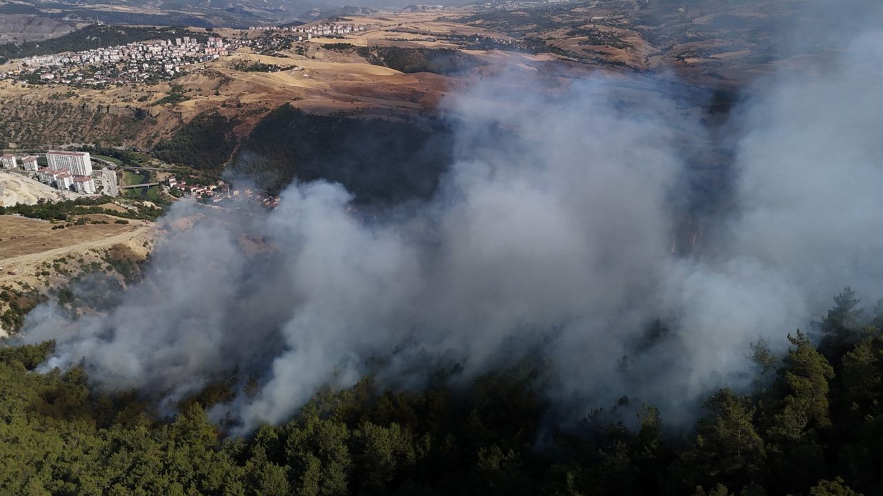 Karabük'te yaklaşık 4 saat önce çıkan orman yangınını kontrol altına alma çalışmalar hem havadan hem de karadan sürüyor.