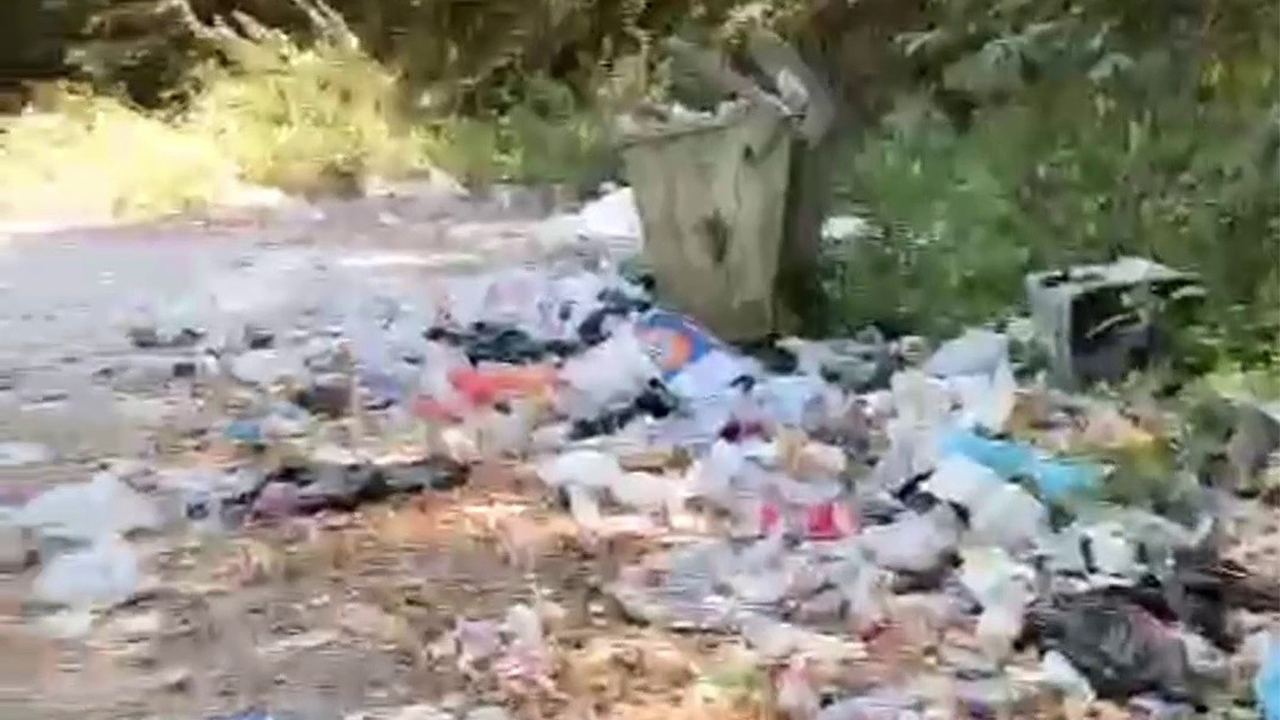 Türkiye'nin en büyük blok ormanlarına ev sahipliği yapan ve doğa turizmiyle öne çıkan Karabük’ün Yenice ilçesindeki Şeker Kanyonu, çevreye atılan çöpler nedeniyle kirlenirken, bölgedeki yapıların bakımsız bırakıldığı gözlemlendi.