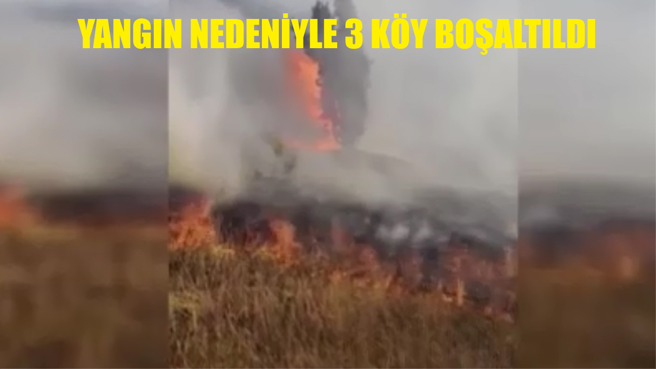 Karabük'te Kahyalar köyü mevkiinde çıkan orman yangını, rüzgarın da etkisiyle hızla ilerliyor. Yangın nedeniyle 3 köy tedbiren boşaltıldı.