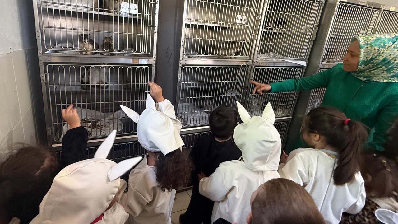Karabük Belediyesi Atatürk Sosyal Yaşam Merkezi ana sınıfı öğrencileri, Okul Öncesi Öğretmeni Perihan Özbek eşliğinde 4 Ekim Dünya Hayvanları Koruma Günü münasebetiyle Karabük Belediyesi Sahipsiz Hayvan Bakımevini ziyaret etti.