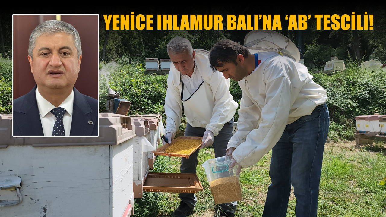 TÜRKİYE’NİN AB TESCİLLİ 43’ÜNCÜ ÜRÜNÜ YENİCE IHLAMUR BALI