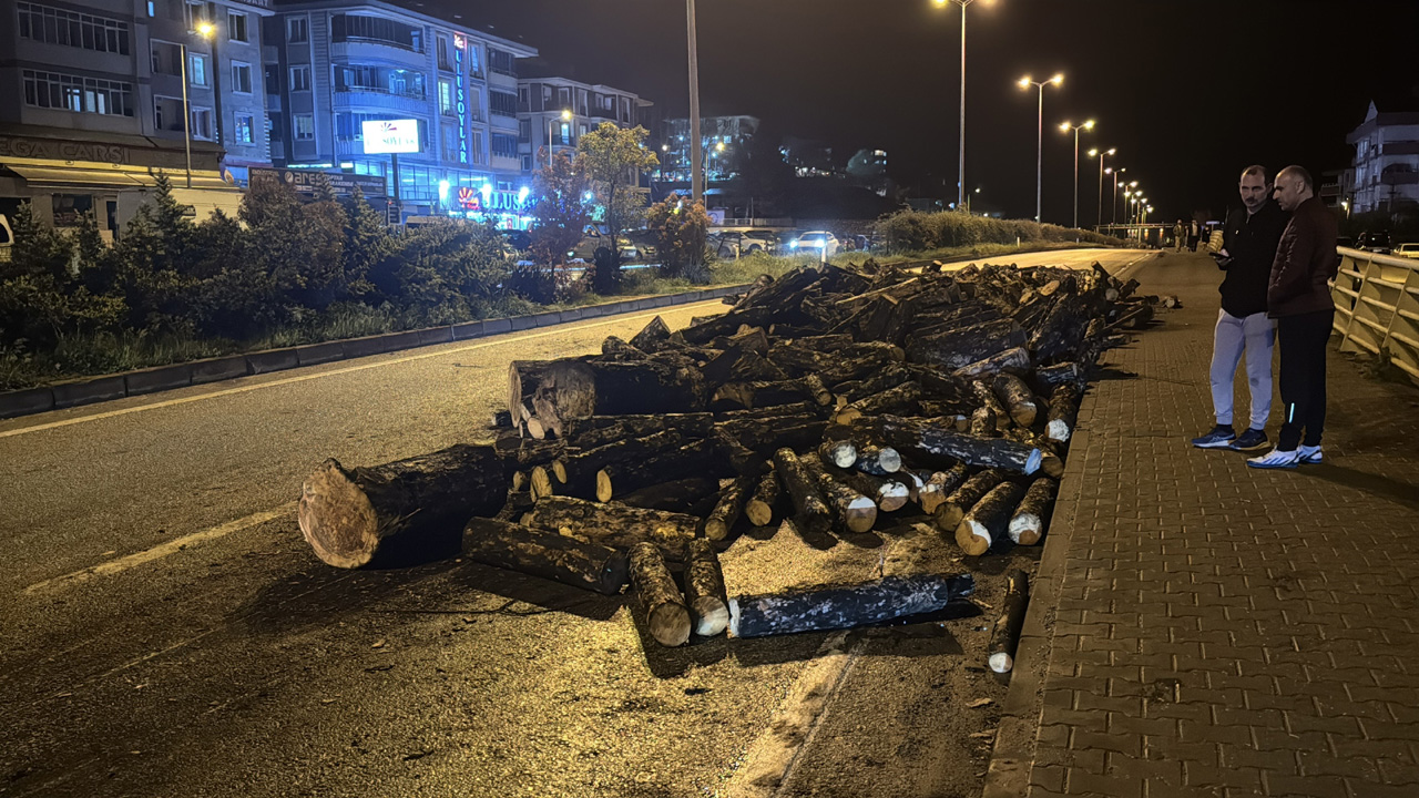 KAMYONUN DAMPERİ ANİDEN KALKTI, ODUNLAR YOLA DÖKÜLDÜ