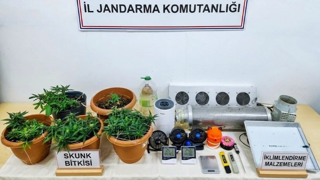 KARABÜK’TE UYUŞTURUCU OPERASYONU