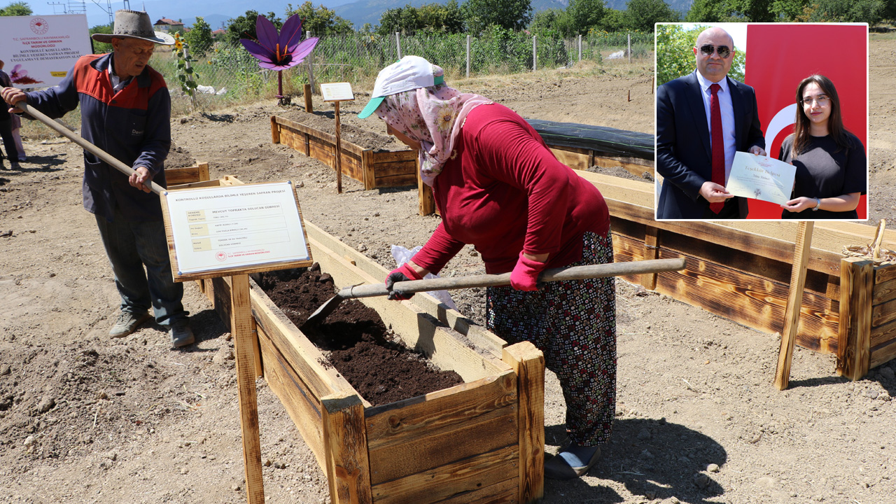 “DÜNYANIN EN PAHALI BAHARATI” KÖSTEBEKLERDEN KORUNACAK