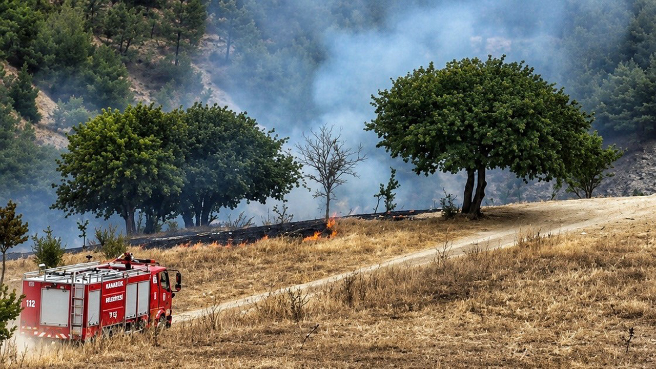 KARABÜK’TE ANIZ YANGINI ORMANLIK ALANA SIÇRAMADAN SÖNDÜRÜLDÜ