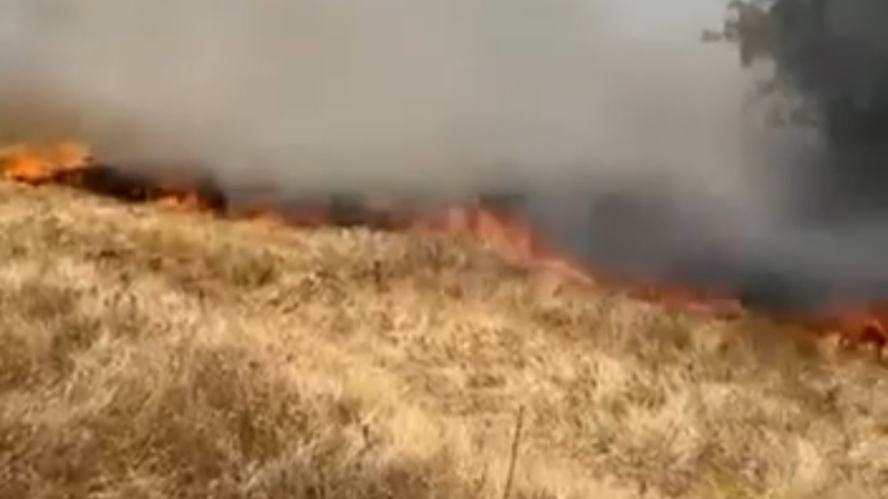 OT YANGINI BÜYÜMEDEN SÖNDÜRÜLDÜ