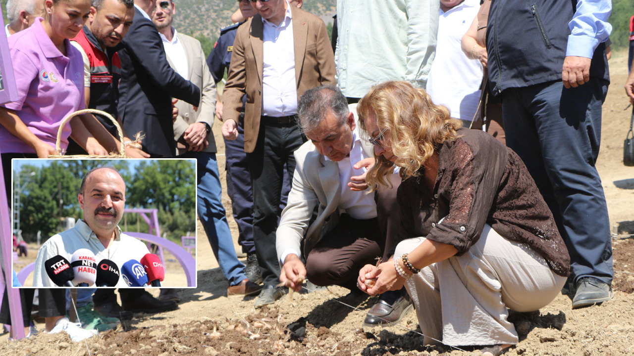 SAFRANOVA’DA 7 DEKARLIK ALANA 500 KİLO SAFRAN SOĞANI DİKİLDİ